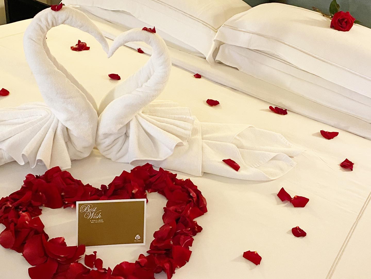 ALL_catalog_26A22_8RAVEMg1bS